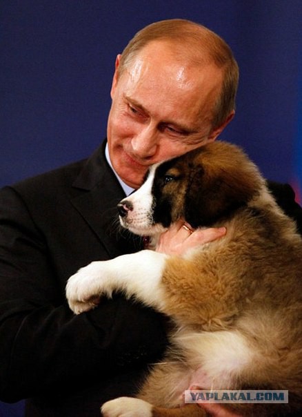 Дим, извини, давайте про квас: 23 тезиса с большой пресс-конференции Путина
