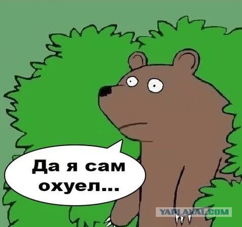 Требования одной дамы на сайте знакомств