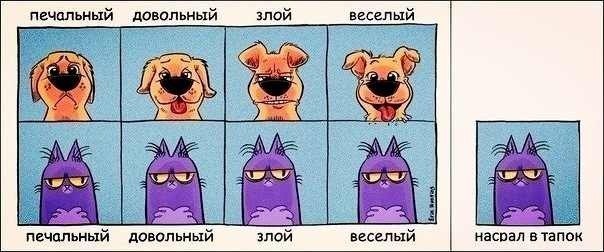 Взгляд на вещи с двух разных миров