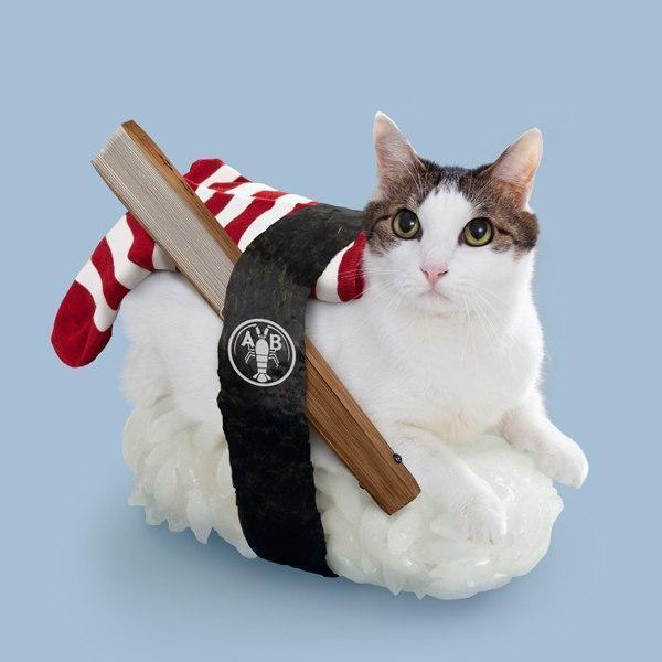 Коты и Кошки