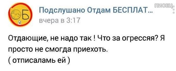 Что они пишут?!