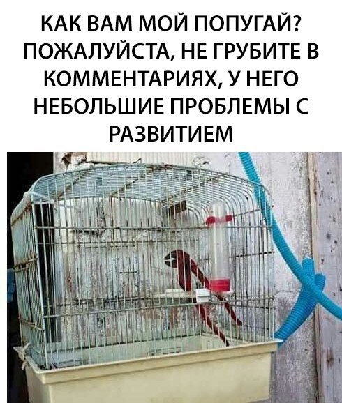 Нестандартный юмор