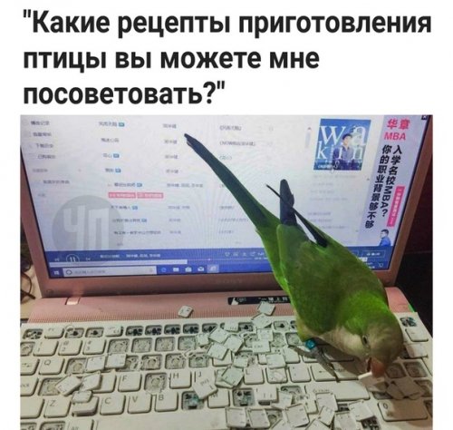 Немного картинок в этот понедельник