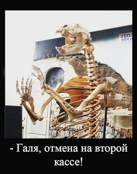 Галя у нас отмена где. Галя Отмена. Галя Мем кассирша. Галя Отмена Мем. Галя возврат Мем