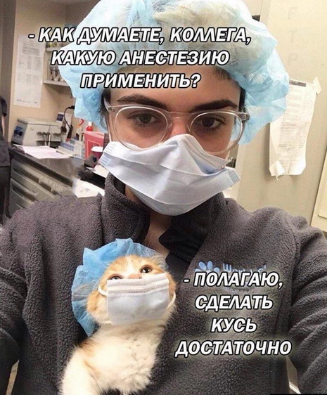 Юмор с ароматом понедельника