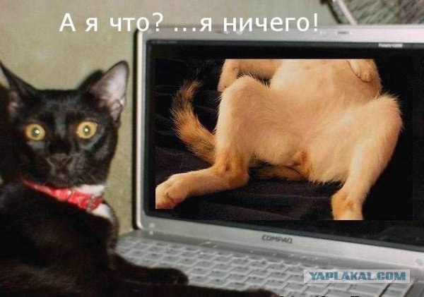 Никогда так не делайте!