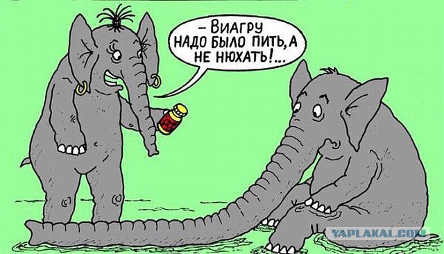 Немного картинок для настроения