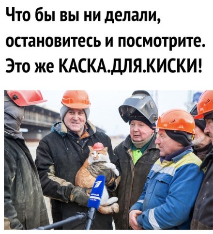 Картинки с надписями, истории и анекдоты 04.10.19