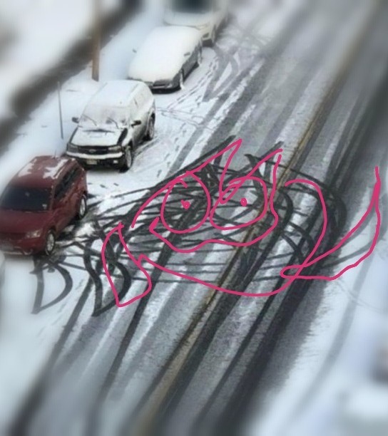 Угадайте пол водителя по следам на снегу