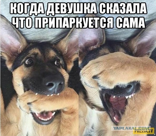 Этот взгляд