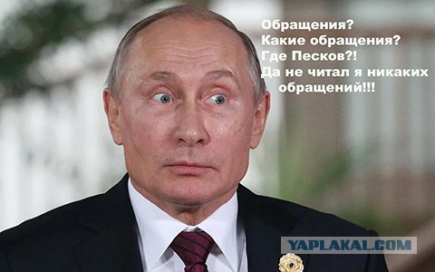 Деятели науки и культуры призвали не допустить изменения Конституции