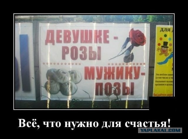 Пятница. И немного слегка пошлых картинок с надписями и без 16+ (06.11)
