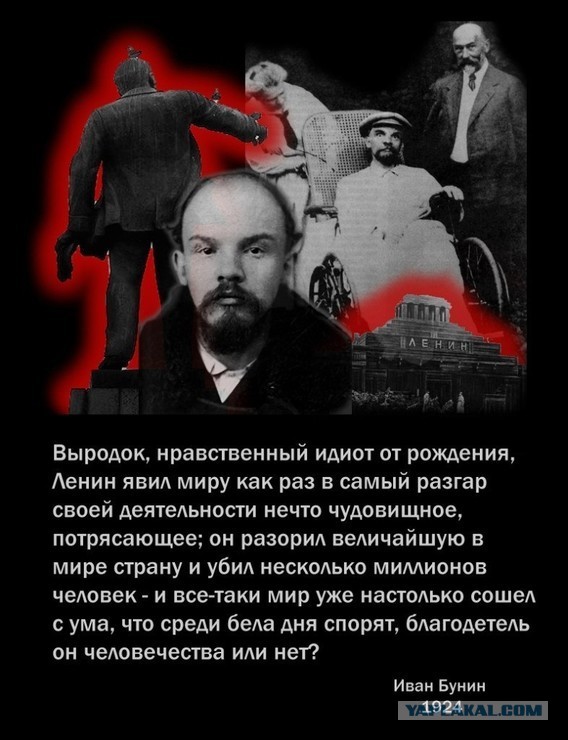 Революция в цвете