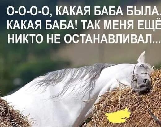 Коня на скаку остановит... Девушка для настоящих гурманов - Kristina Nicole Mendoza.