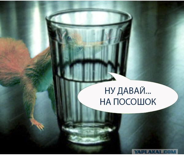 Фотожаба: Белка как бы говорит нам...