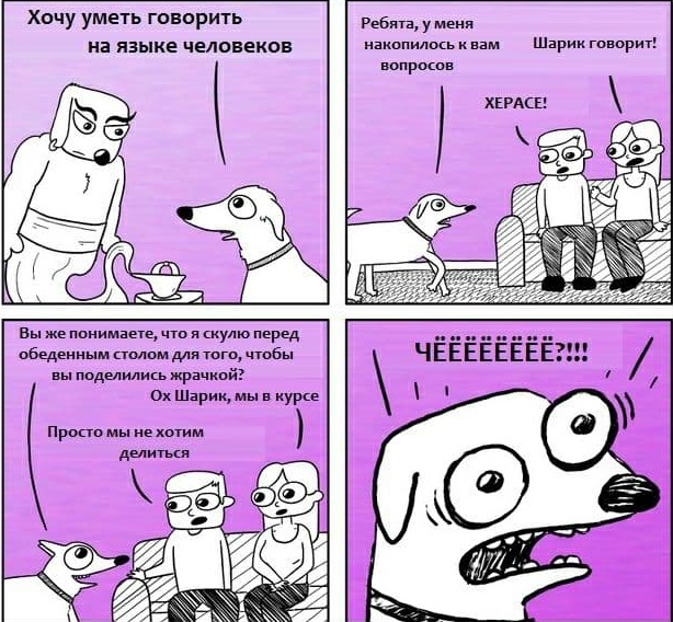 Бредзона 28.12.20