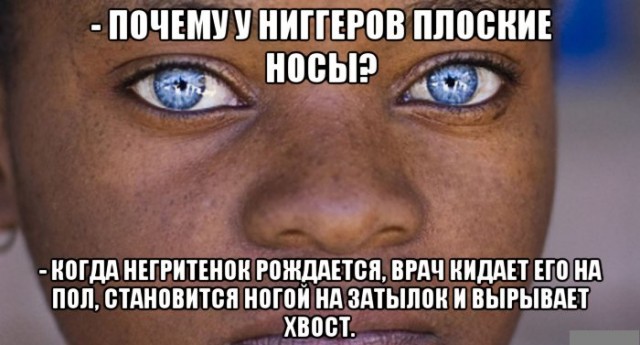 Пикчеслив 16.01.21