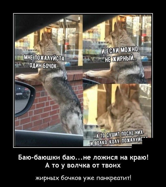 Прикольные и просто красивые картинки 11.02.2021
