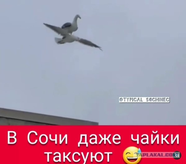 Автостопом