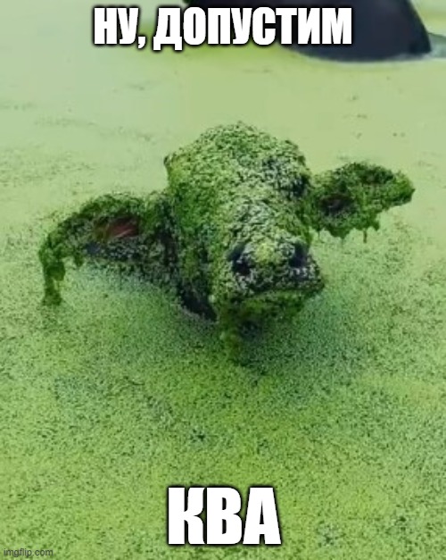Дратути