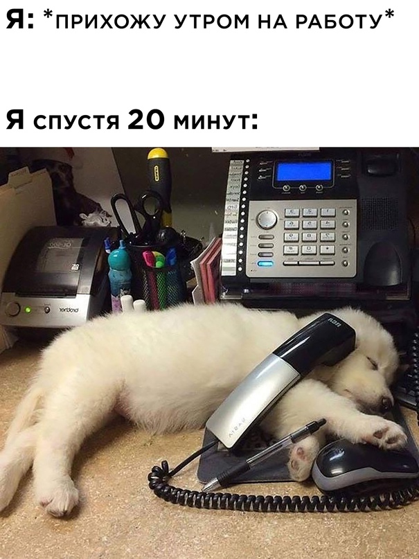 Весёлый полтишок 15.10