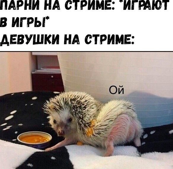 Прикольные и просто красивые картинки 01.11.2021