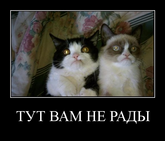 Зашёл не в тот район