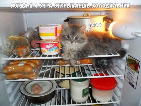 Чё смотришь? Листай дальше!