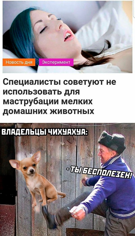 Картинки и мемы для настроения. Выходные близко...