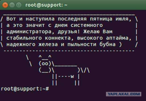 Сисадмины, с праздником!