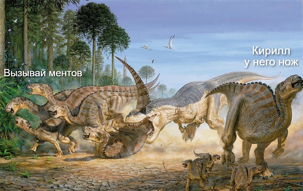 3 этапа жизни