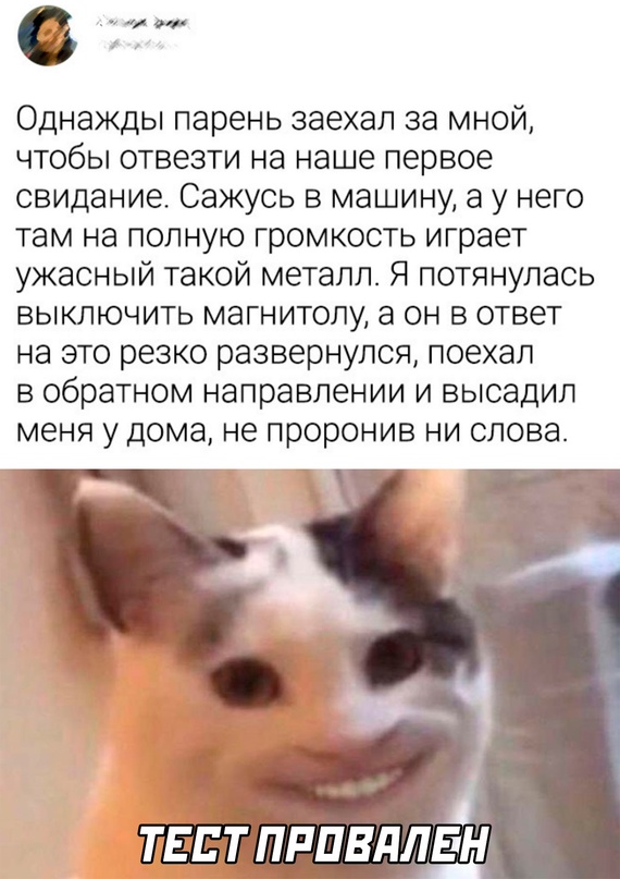Весёлый полтишок 02.10.22