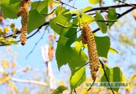 Как я беседку строил