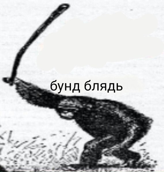 Движня какая-то у Совета Федерации РФ