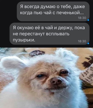 Картинки и мемы для настроения - 131
