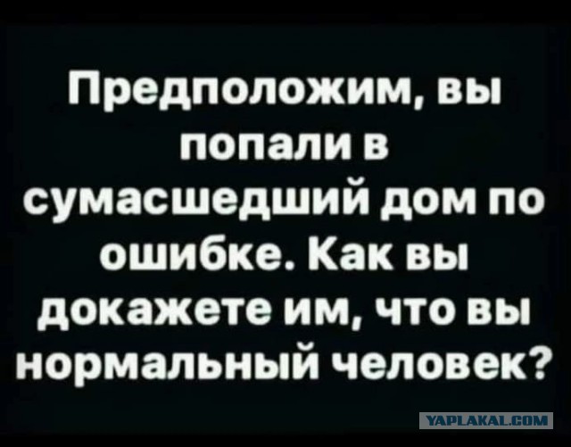 Нуштош 05.03.2023