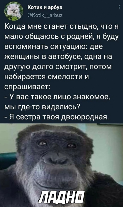 Нуштош 06.04.2023