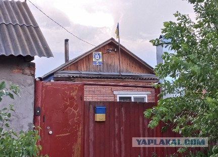 Директор школы в ХМАО написала заявление в полицию из-за косичек школьницы в цветах флага Украины