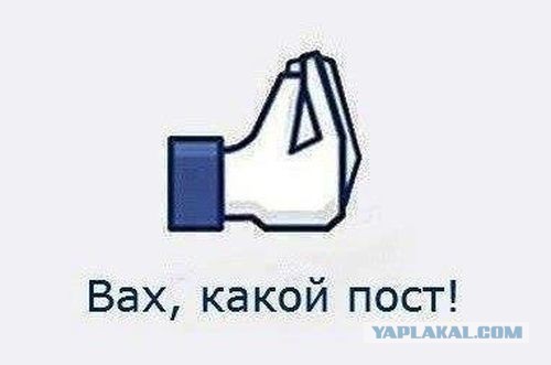 Афганский овцеёб...