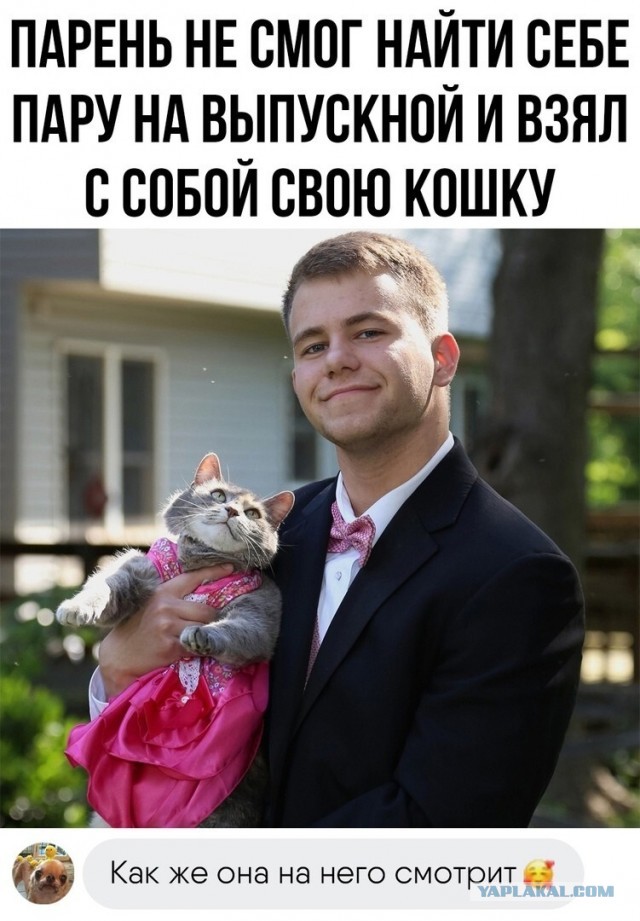 Красотка