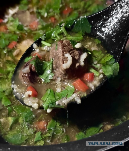 Кто не любит харчо? С орехами и сливой от Т. П. Сулаквелидзе