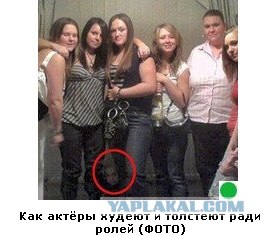 Автодемотиватор на ЯПе