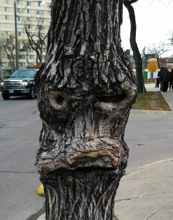 ФотоВинегрет