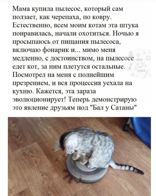 Завалялось тут случайно немного забавных картинок