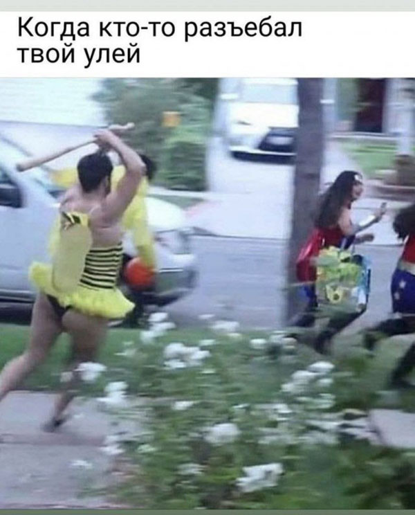 Приглашаю похандрить под баяны