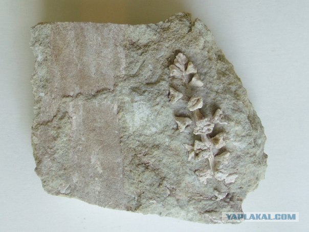 История мира у нас под ногами