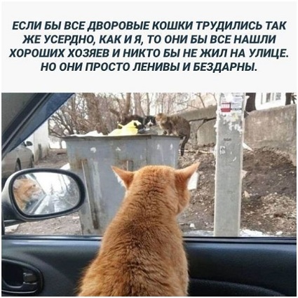 Прогноз выходного дня