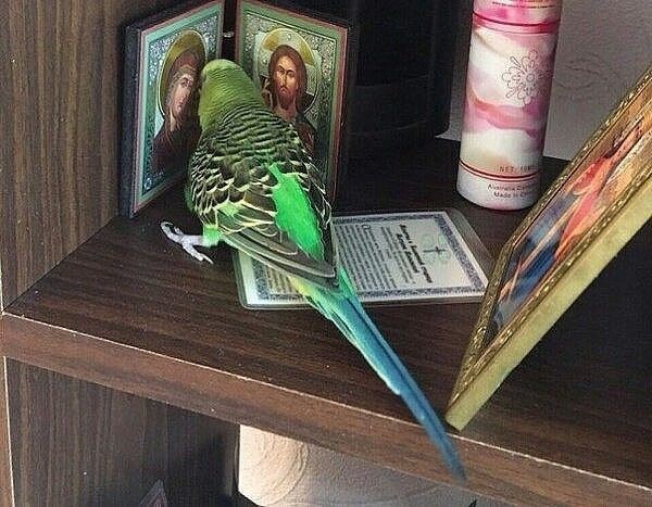 Грешник