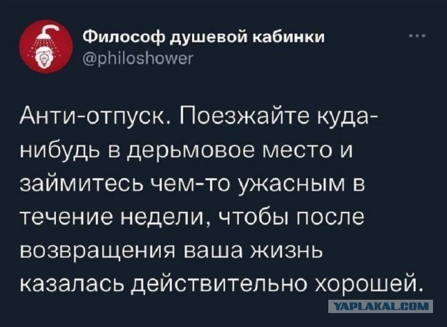 Так себе картинки 06.10.25
