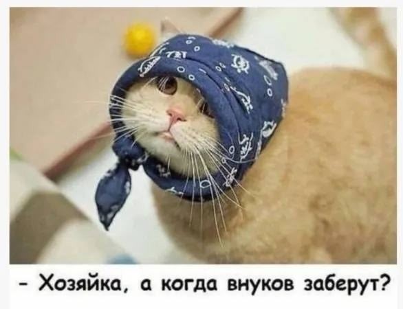 Пятничные картинки